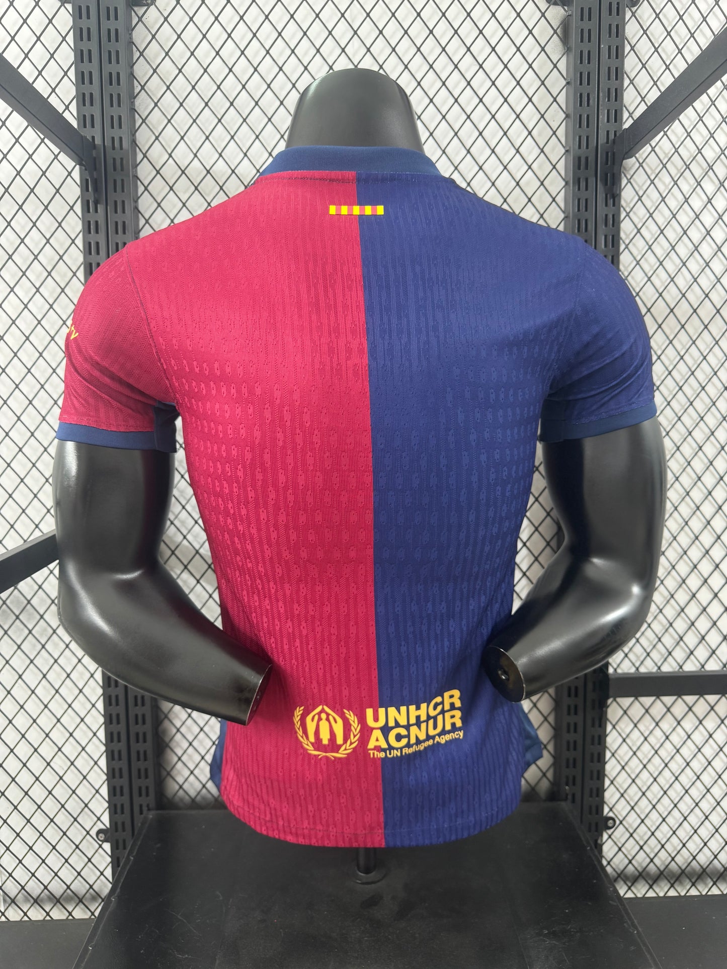 FC Barcelona 2024/25